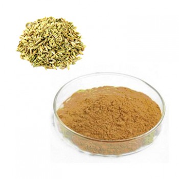 Fennel Dry Extract | Iran Exports Companies, Services & Products | IREX